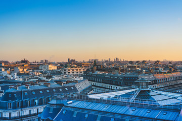 10种有趣的植物