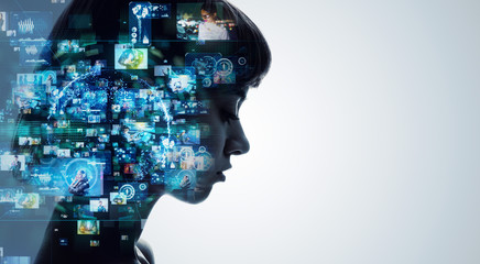 中国农科院蜜蜂研究所老所位置在哪里