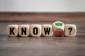 10种有趣的植物