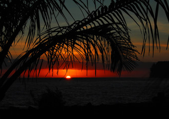 中国农科院蜜蜂研究所老所位置在哪里