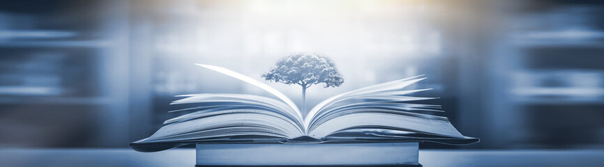 晒孩子奖状的精辟句子