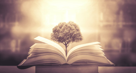 丝绸之路起源于哪一个朝代,它的作用是什么-