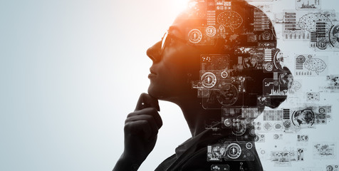 洛神的网络解释洛神的网络解释是什么