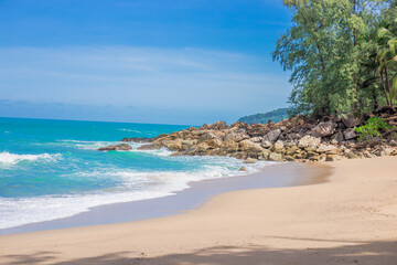 哪些花茶可以祛斑