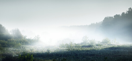 关于茶文化的问题提问有哪些