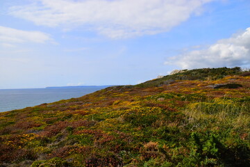 晒孩子奖状的精辟句子