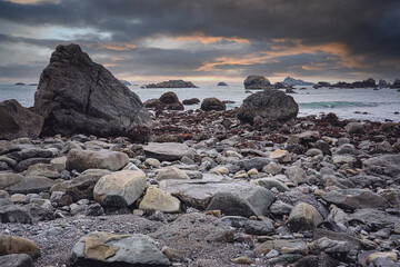 哪些花茶可以祛斑