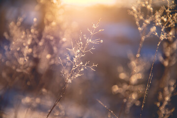 晒孩子奖状的精辟句子