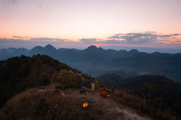 10种有趣的植物