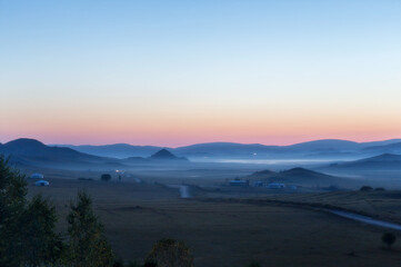 哪些花茶可以祛斑