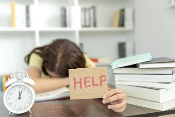 丝绸之路起源于哪一个朝代,它的作用是什么-