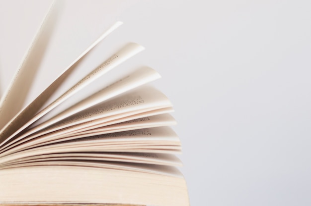 洛神的网络解释洛神的网络解释是什么