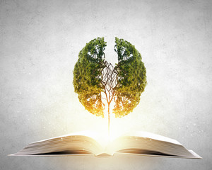 10种有趣的植物