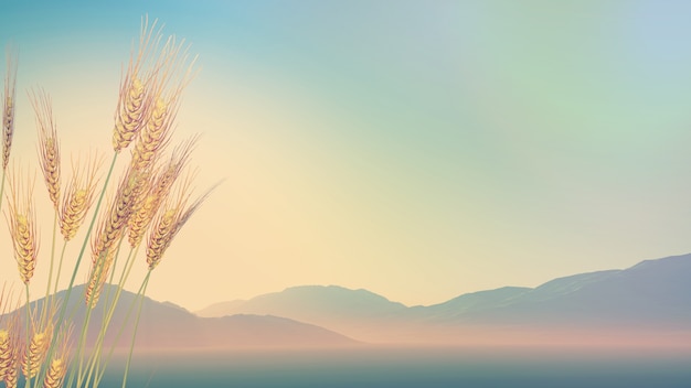 中国农科院蜜蜂研究所老所位置在哪里