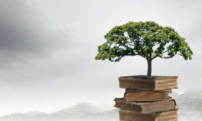 洛神的网络解释洛神的网络解释是什么