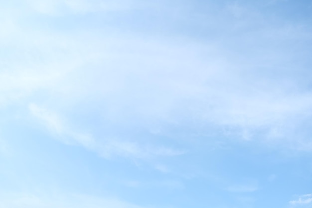 哪些花茶可以祛斑