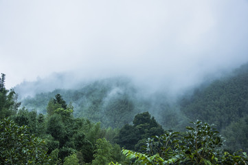 晒孩子奖状的精辟句子